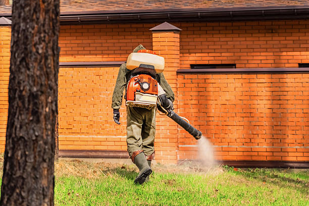Trusted Mosquito Control service in Harper Woods, MI - Nex Pest Control